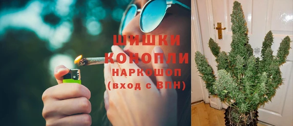 крисы Щигры