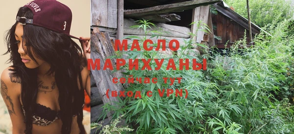 крисы Щигры