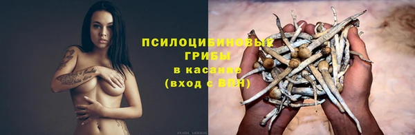каннабис Щёлкино