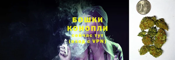 крисы Щигры