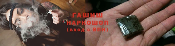 крисы Щигры