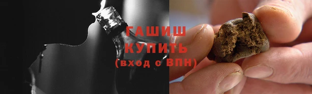 крисы Щигры
