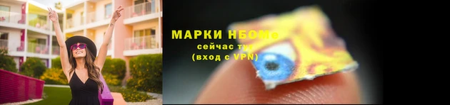 крисы Щигры