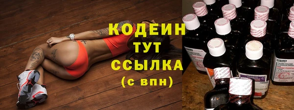 крисы Щигры