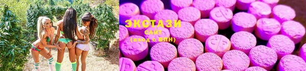 a pvp Щучье